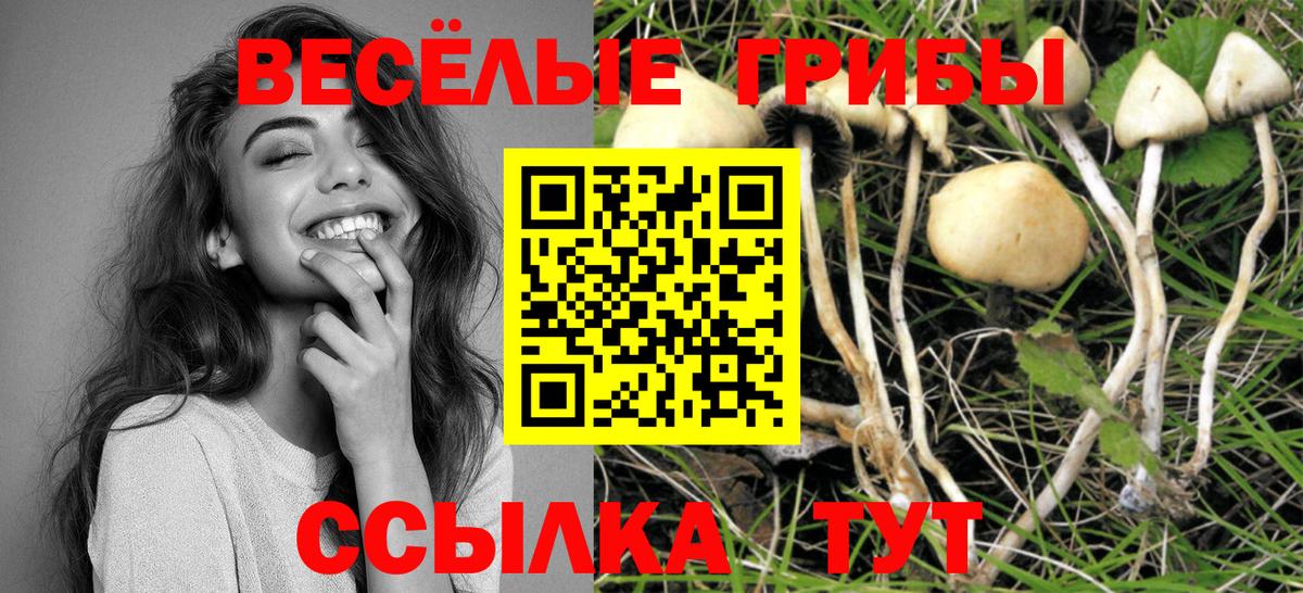 Псилоцибиновые грибы GOLDEN TEACHER  Вход с VPN  Галлюциногенные грибы прущие грибы  Вышний Волочёк 